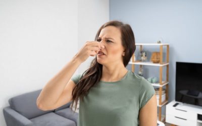 4 Causes of the Odor Coming from Your Air Conditioner